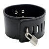 Faux Leather Stainless Steel Locking Spreader Bar Ankle Cuffs - Image 4
