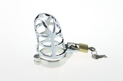 Stainless Steel Male Chastity Device Locking Cage - Image 4