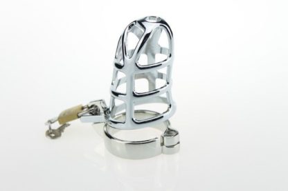 Stainless Steel Male Chastity Device Locking Cage - Image 5