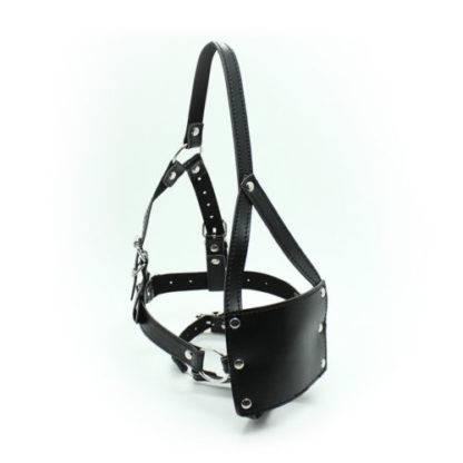 Faux Leather Head Harness Panel Ball Bondage Gag Restraint Mask Mouth