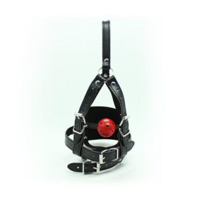 Faux Leather Head Harness Panel Ball Bondage Gag Restraint Mask Mouth - Image 2