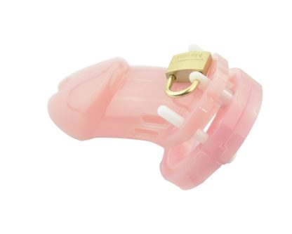 CB6000 Adult Male Chastity Device Plastic Penis Cock Cage With 5 Rings Tube Length Sizes S/L Three Colours - Image 13