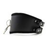 Black Faux Leather Posture Bondage Neck Collar Twin Buckle - Image 4