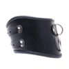 Black Faux Leather Posture Bondage Neck Collar Twin Buckle