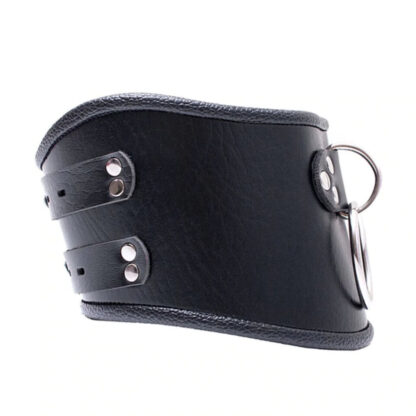 Black Faux Leather Posture Bondage Neck Collar Twin Buckle