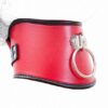 Red/Black Faux Leather Classic Posture Bondage Neck Collar - Image 3
