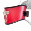 Red/Black Faux Leather Classic Posture Bondage Neck Collar - Image 4