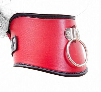 Red/Black Faux Leather Classic Posture Bondage Neck Collar - Image 5