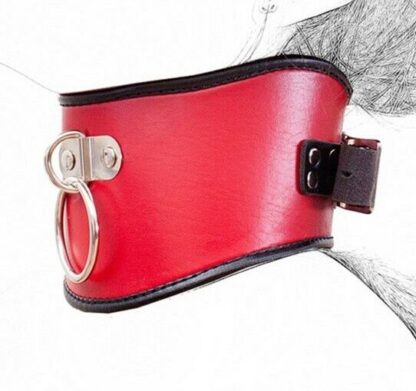 Red/Black Faux Leather Classic Posture Bondage Neck Collar - Image 6